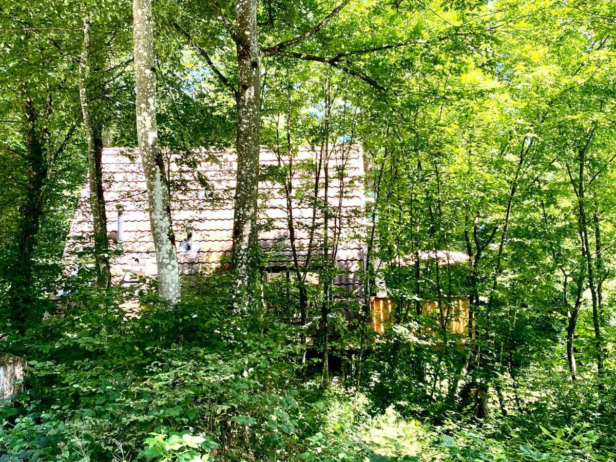 A- Frame Huisje Ardennen Durbuy Extérieur photo