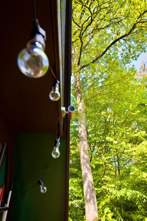 A- Frame Huisje Ardennen Durbuy Extérieur photo